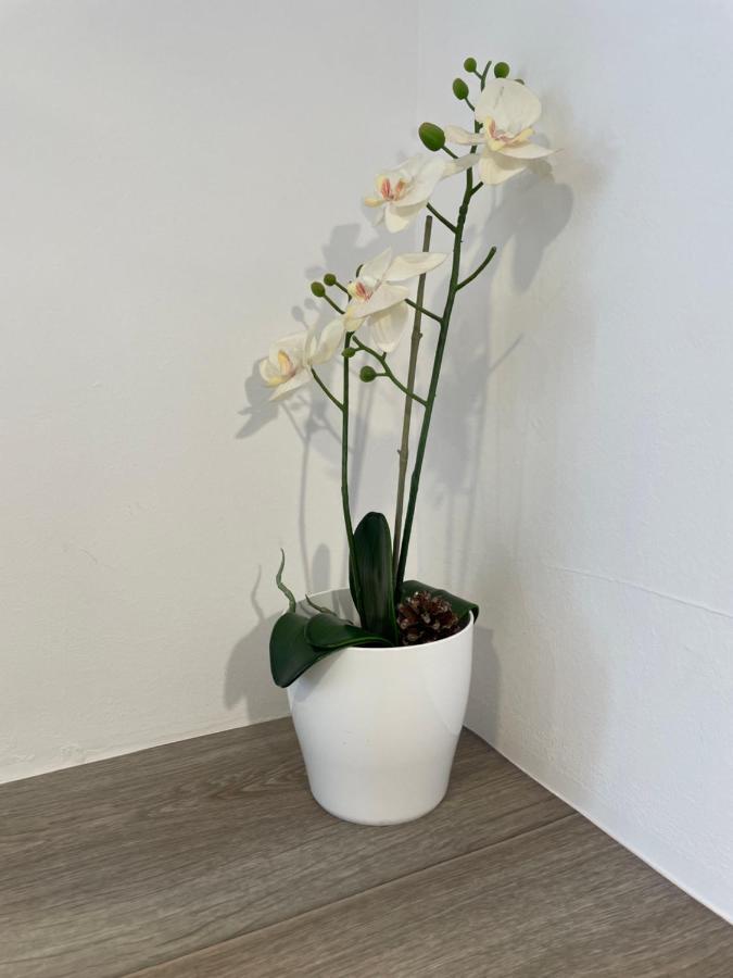 Apartamento Parque La Guina